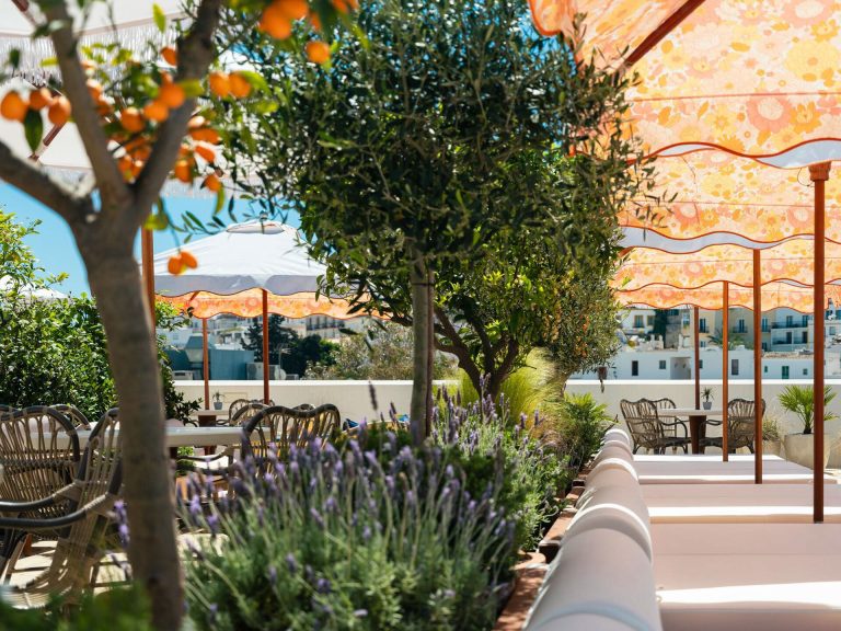 Rooftop bars in The White Angel